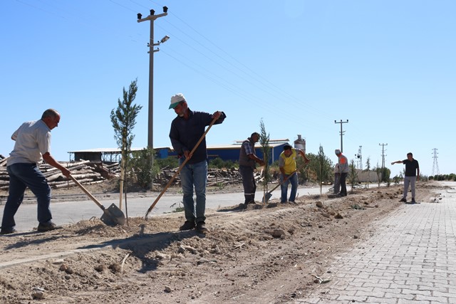 Kozan OSB ağaçlandırıldı