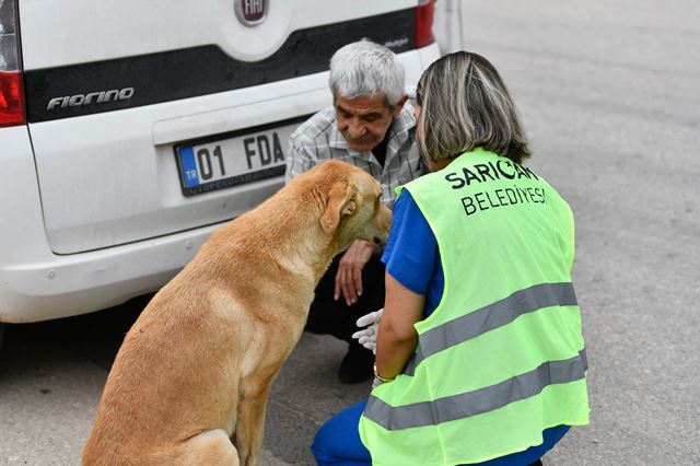 SARIÇAM BELEDİYESİ’NİN ŞEFKAT ELİ BU KEZ DE SOKAK HAYVANLARINA UZANDI