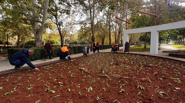 Kozan'da parklar 225 bin çiçek ile kışa hazırlanıyor