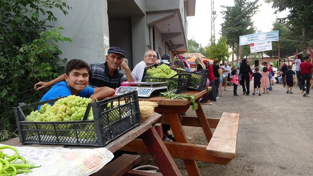 FEKE'DE TAPAN KÜLTÜR VE ÜZÜM ŞENLİĞİ