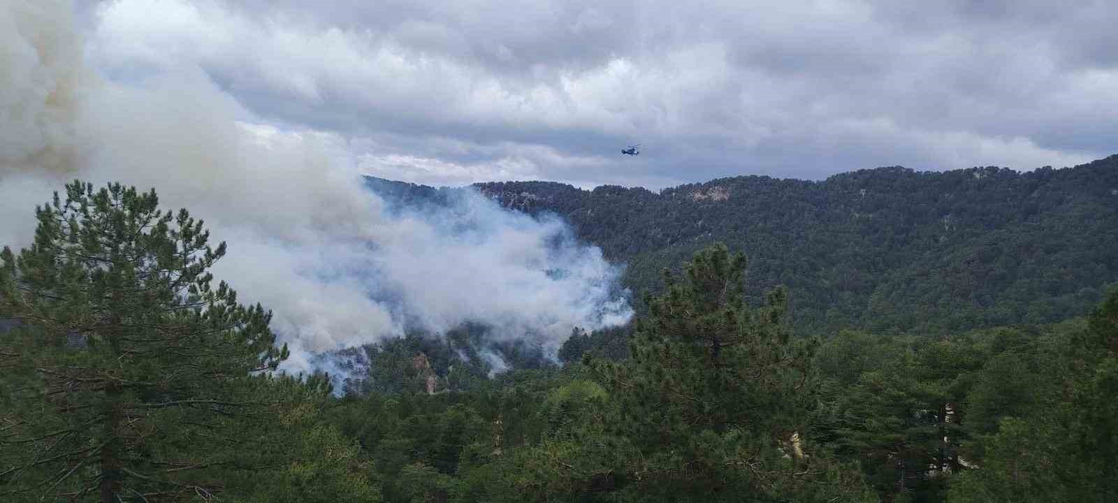 ANTALYA'NIN MANAVGAT İLÇESİ BEŞKONAK KÖPRÜLÜ KANYONU YAKINLARINDA ÖĞLEN SAATLERİNDE BAŞLAYAN ORMAN YANGININI KONTROL ALTINA ALMAK İÇİN HAVADAN VE KARADAN SÖNDÜRME ÇALIŞMALARI DEVAM EDİYOR.