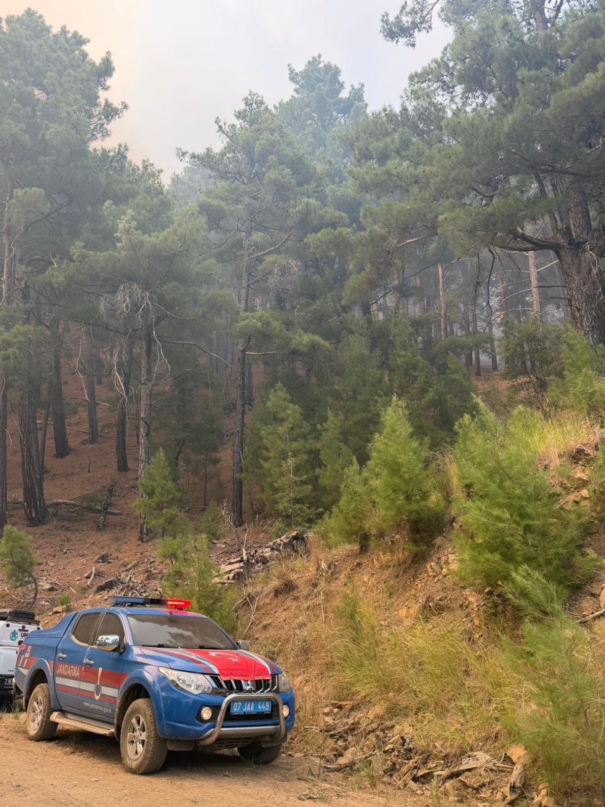 ANTALYA'NIN MANAVGAT İLÇESİ BEŞKONAK KÖPRÜLÜ KANYONU YAKINLARINDA ÖĞLEN SAATLERİNDE BAŞLAYAN ORMAN YANGININI KONTROL ALTINA ALMAK İÇİN HAVADAN VE KARADAN SÖNDÜRME ÇALIŞMALARI DEVAM EDİYOR.