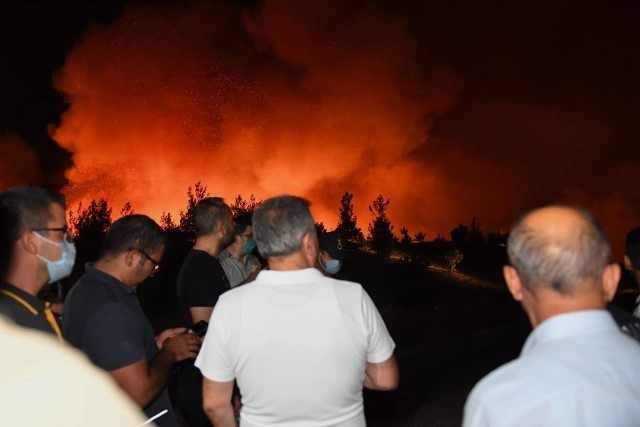 Adana Aladağ'da orman yangını