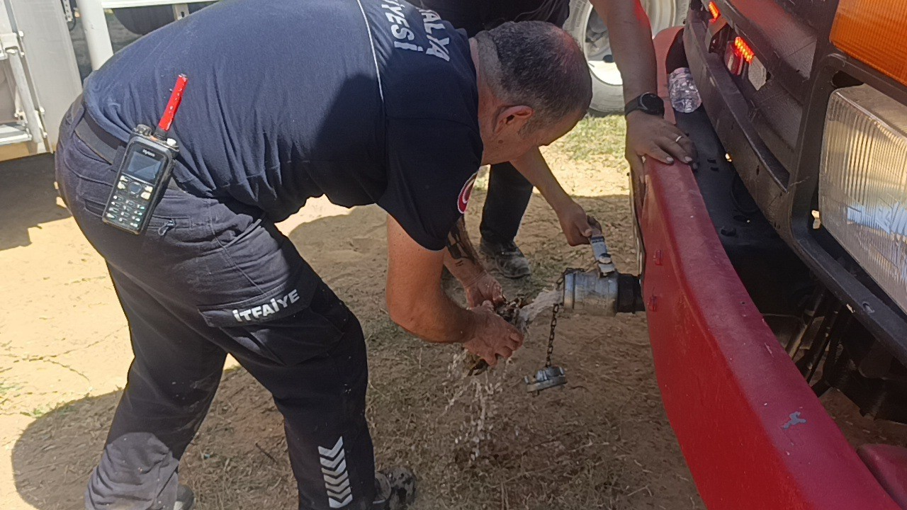 MANAVGAT İLÇESİNDE ÖNCEKİ GÜN ÇIKAN ARAZİ YANGININDA DA YANMAK ÜZERE OLAN KAPLUMBAĞA İTFAİYE EKİPLERİ TARAFINDAN BULUNMUŞ VE EKİPLER TARAFINDAN SUYLA YIKANIP SOĞUTULDUKTAN SONRA GÜVENLİ ALANA BIRAKILMIŞTI