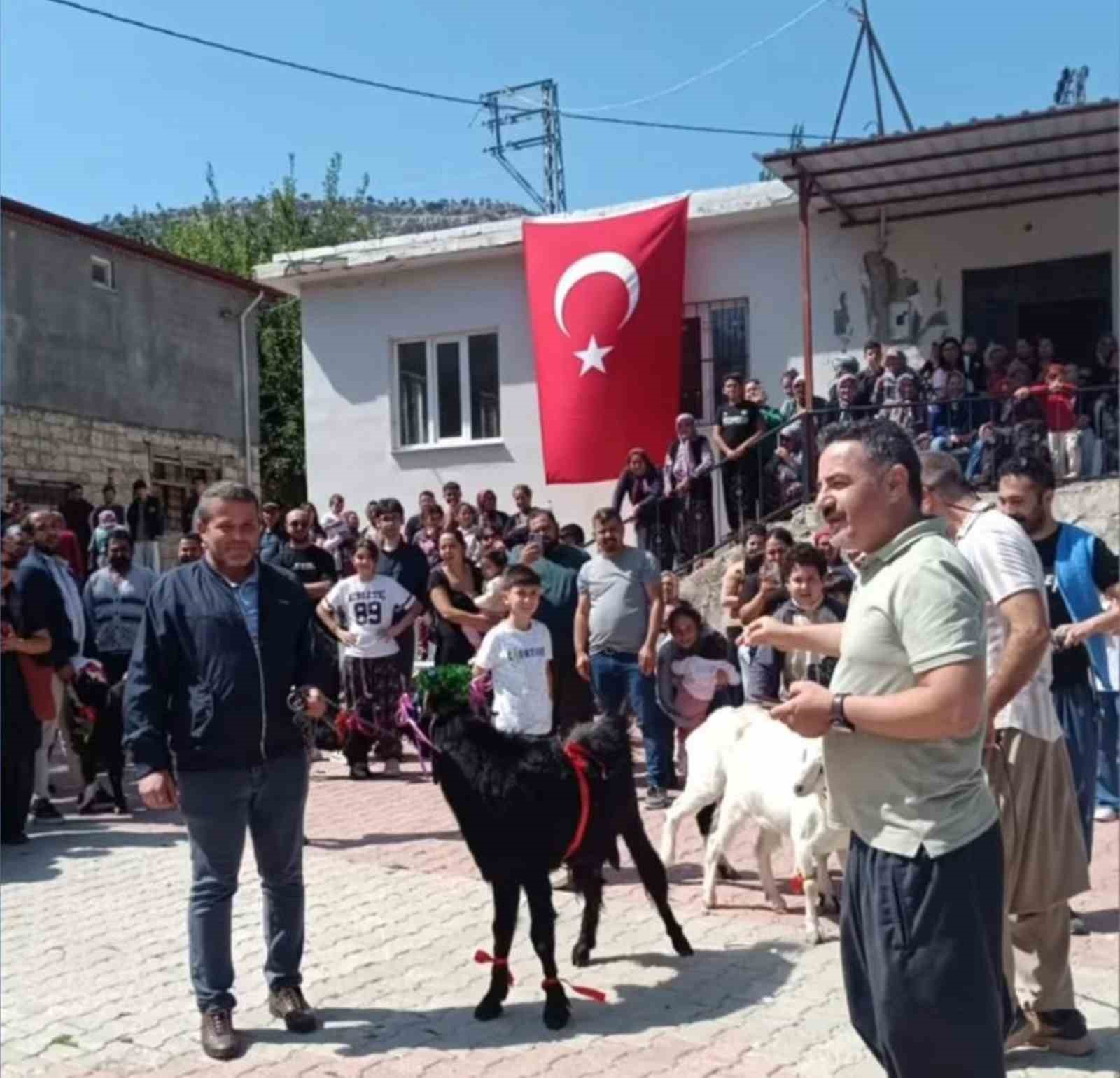 TOPLAM 6 KEÇİNİN KATILDIĞI YARIŞMADA ABDULLAH BOL'UN KEÇİSİ 40 PUANLA BİRİNCİ OLDU.