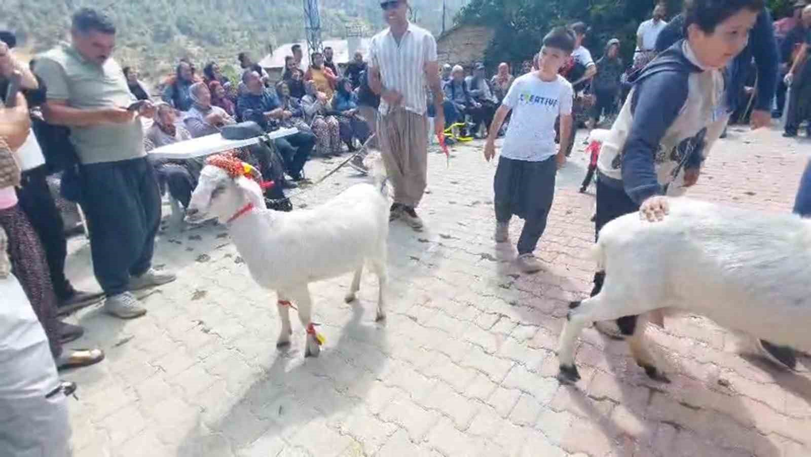 MUT İLÇESİNİN ÇUKURBAĞ MAHALLESİNDE İLKİ DÜZENLENEN KEÇİ GÜZELLİK YARIŞMASINDA KEÇİLER BİRİNCİ OLABİLMEK İÇİN YARIŞTI.