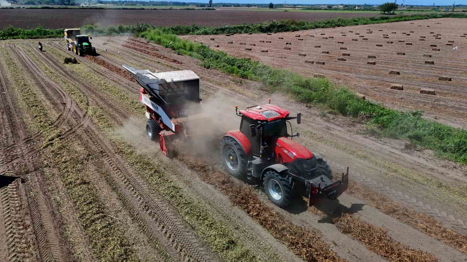 TÜRKİYE'NİN EN ÇOK YER FISTIĞI ÜRETİLEN KENTİ ADANA'DA SAHİL KESİMLERİNDE SEZONUN İLK HASADI BAŞLADI. DEKAR BAŞINA 500-600 KİLOGRAM REKOLTE ALINIRKEN KENT GENELİNDE 135 BİN TON REKOLTE HEDEFLENİYOR.