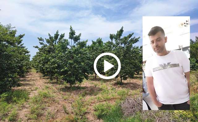 ADANA’DA HURMA BAHÇESİNDE BOĞAZI KESİLMİŞ ERKEK CESEDİ BULUNDU